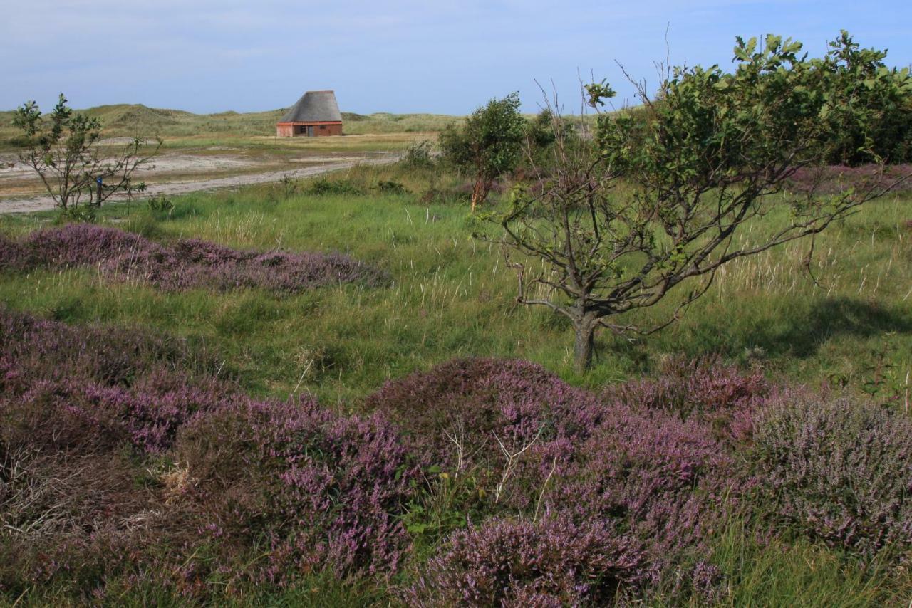 'T Lant Van Texsel De Koog  Exterior foto