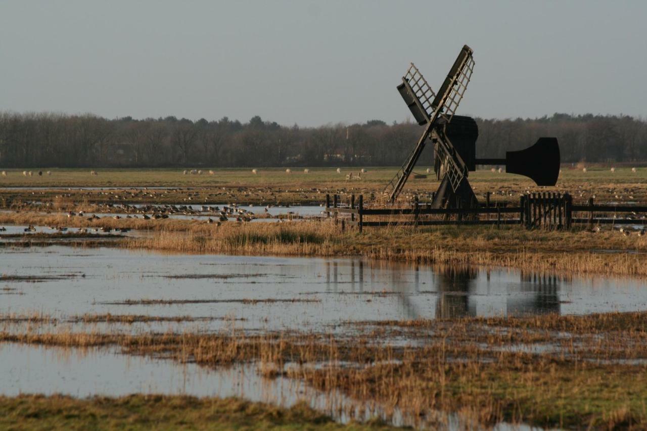'T Lant Van Texsel De Koog  Exterior foto